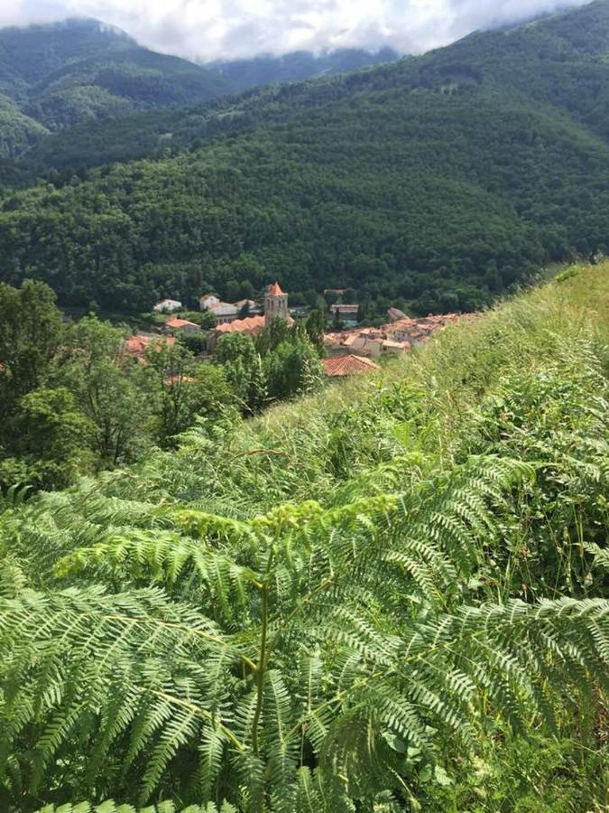 T2 Petite Terrasse Coeur De Ville Prats-de-Mollo-la-Preste Exteriér fotografie